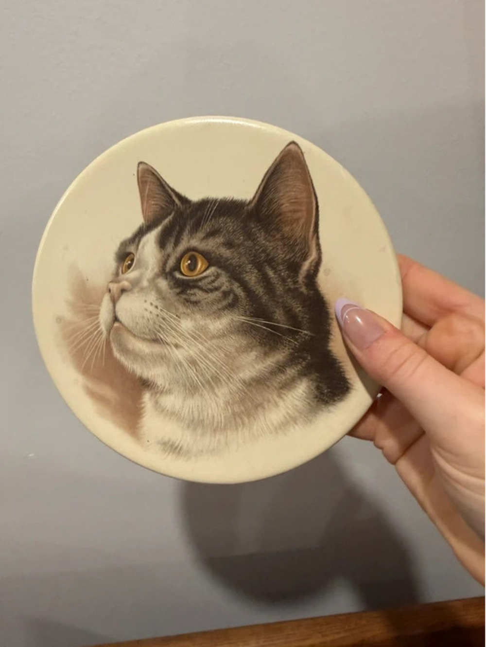 Vintage Realistic Tabby Cat Portrait Decorative Plate trivet